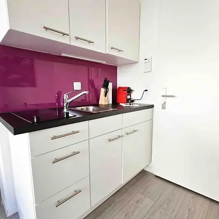 Downtown Deluxe With Queen Bed Be-25 Apartmán Curych