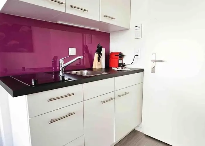 Downtown Deluxe With Queen Bed Be-25 Apartman Zürich